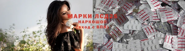 стафф Медногорск