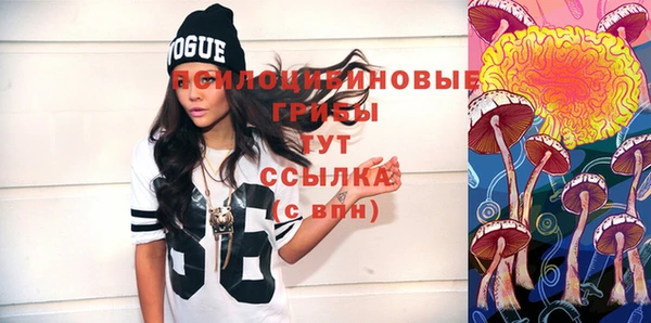 стафф Медногорск