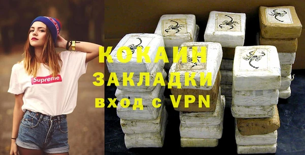 ПСИЛОЦИБИНОВЫЕ ГРИБЫ Михайлов